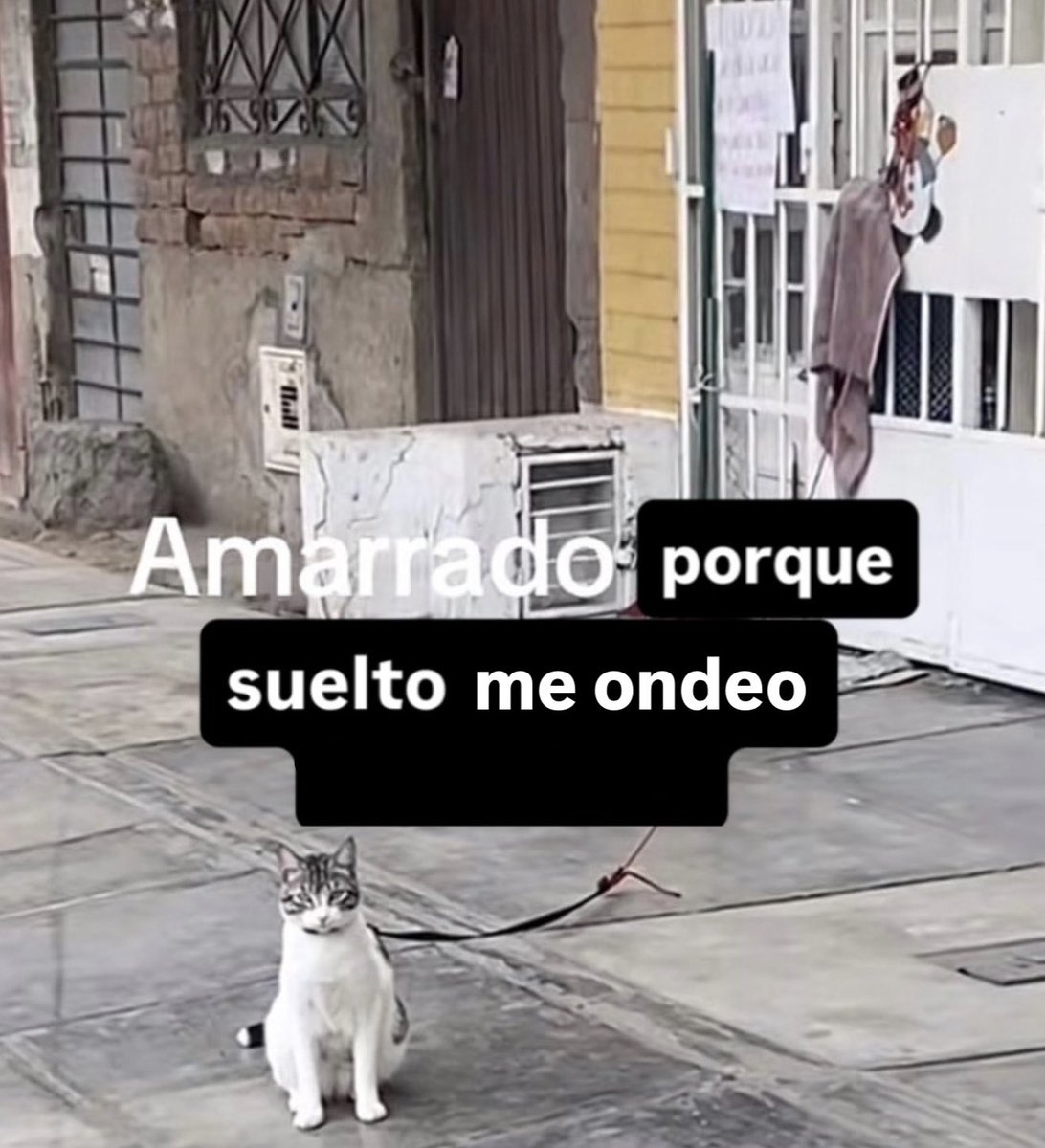 conoloracigarro's tweet photo. https://t.co/C0CrfsubwZ
