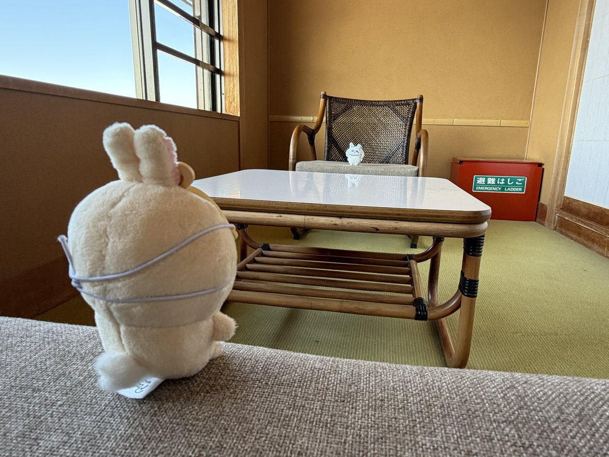 tktw04's tweet photo. 今朝 https://t.co/gwPeHkMBww