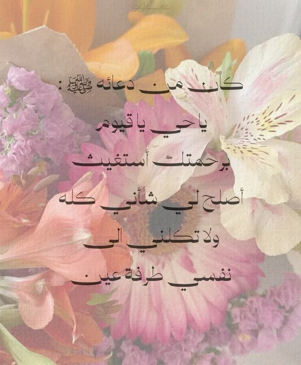 4krallah00's tweet photo. https://t.co/cBuve6KIkV