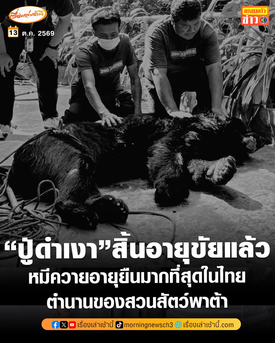 MorningNewsTV3's tweet photo. สวนสัตว์พาต้า แจ้งข่าวเศร้า "ปู่ดำเงา" ตำนานหมีควายอายุยืนมากที่สุดในไทย สิ้นอายุขัยแล้ว ป่วยหนัก ไม่กินอาหาร หลังใช้ชีวิตมานานกว่า 40 ปี

อ่านข่าว : https://t.co/FBwiDoeigr

#เรื่องเล่าเช้านี้ #ครอบครัวข่าว3 #ข่าวโซเชียล https://t.co/9iUO6In1HX