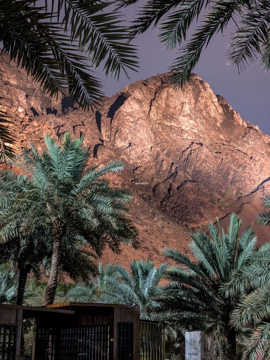 1_Q_z's tweet photo. جبل أُحد ⛰️
جبل يُحبنا ونُحبه 🤍 https://t.co/rNWx4009Ys