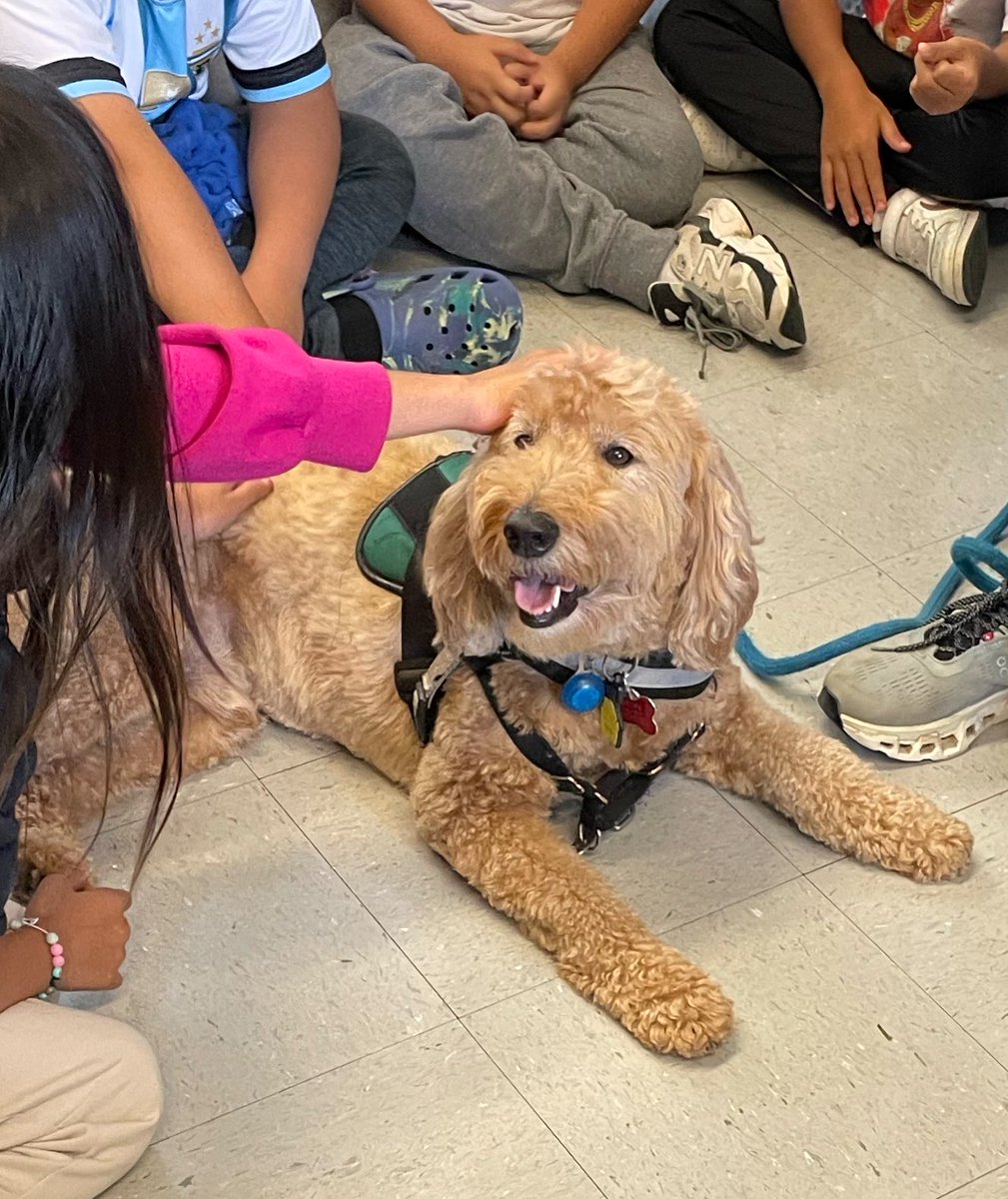GloriaJCSL's tweet photo. Trista and Stanley received so much love and attention from our @HHESHUSKIES today during their visit today. #therapydogs  @FidosforFreedom @csconnectmcps @MCPS @MCPSEspanol https://t.co/PpGKwLpaUk
