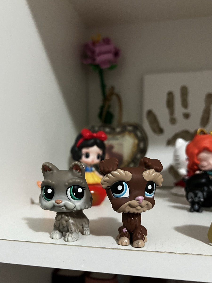 ttcitohng's tweet photo. algún día les mostraré mi colección de lps, pero estos fueron mis últimos wawitos https://t.co/OYecbGjU6a