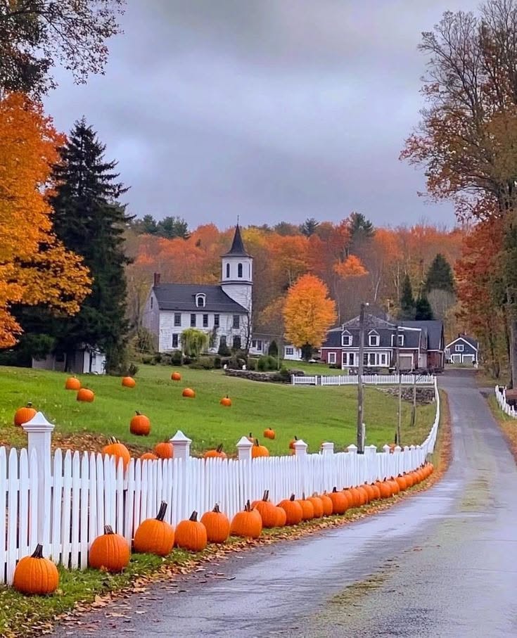 JanyceBonurash's tweet photo. Iterating through heavy deadlifts until muscle memory somehow overrides the digital hum in my head. https://t.co/ZuwkdrXn8p