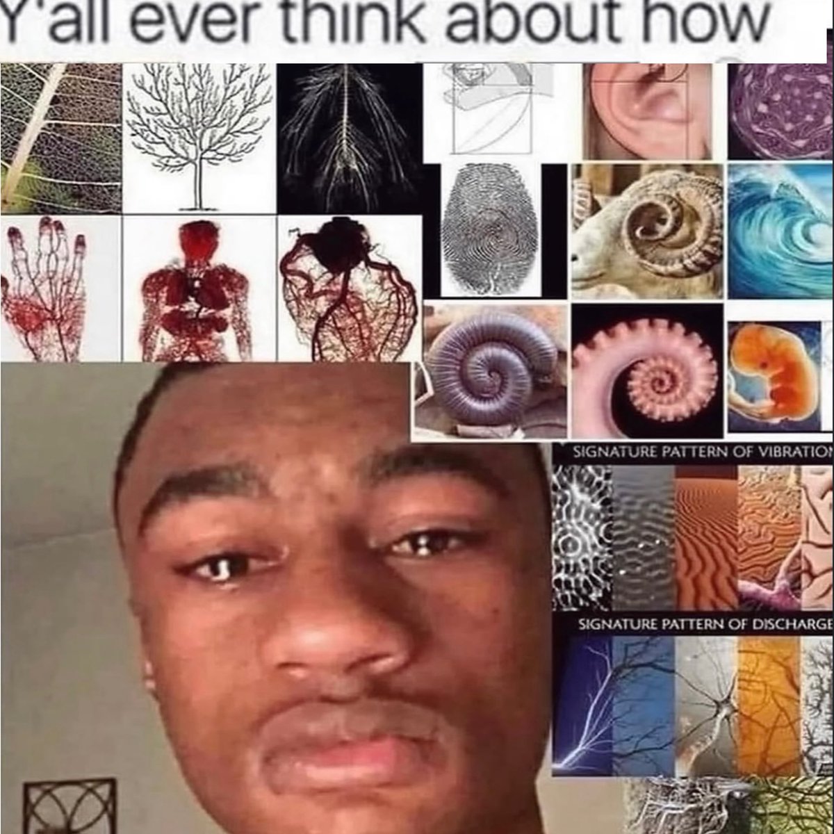 philosophymeme0's tweet photo. https://t.co/OmjgW6eFR8