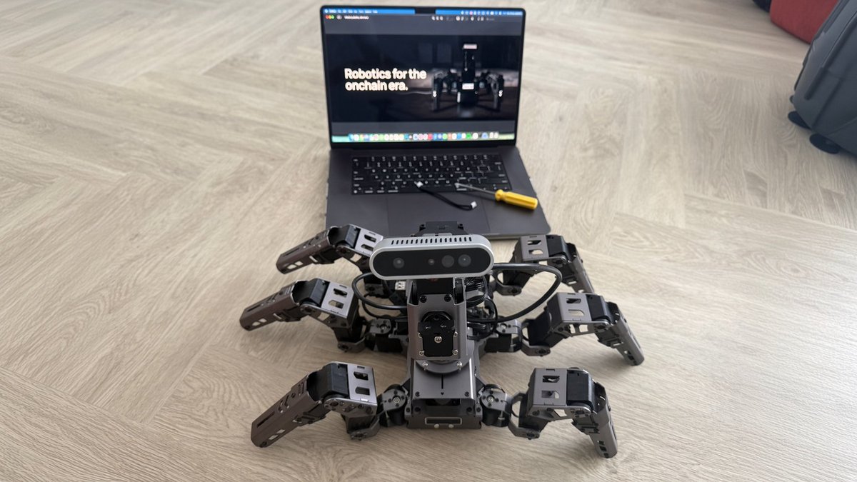 LamportRobotics's tweet photo. gm from the workshop ☀️

Pincer1 taking up most of the floor again. https://t.co/oHFqTBPr28