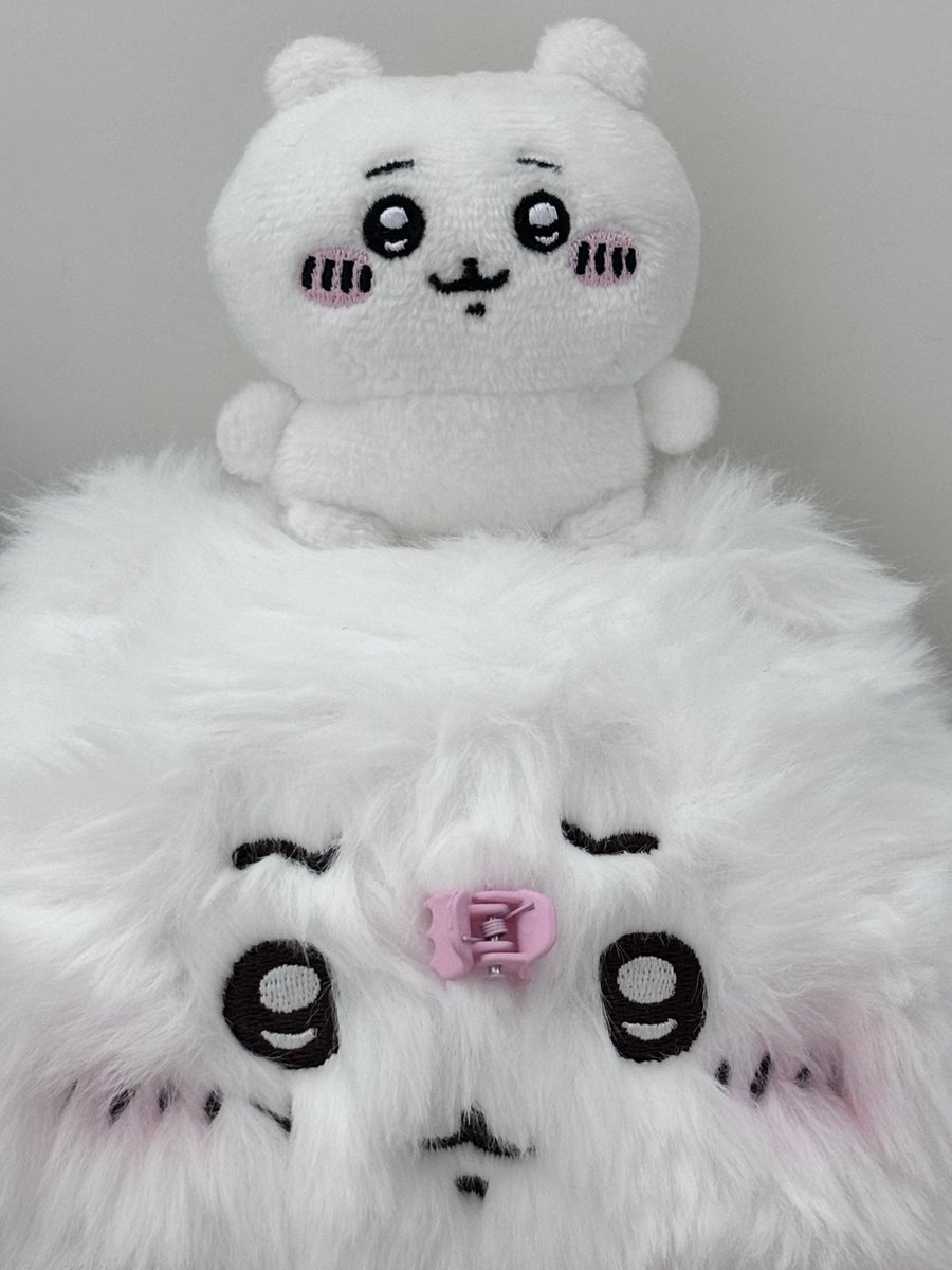 shyshisa's tweet photo. 오늘 하루도 화이띵 https://t.co/c0I8QVX04I
