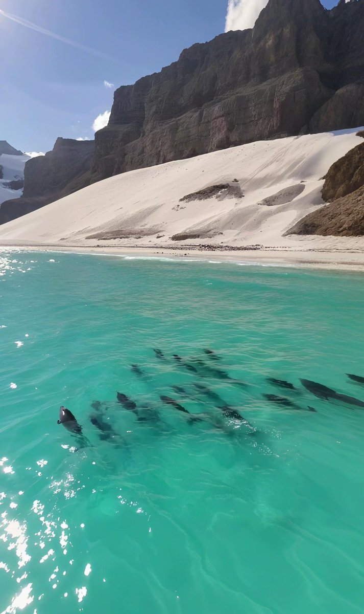 WarMonitors's tweet photo. Socotra, Somalia 🇸🇴 https://t.co/F42f8s4RXO