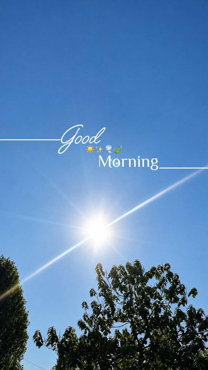 l__ioness's tweet photo. Good morning 🌄 https://t.co/jFdIDnNlYj