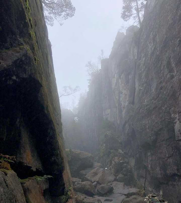MiaJMoretti's tweet photo. Not every path needs to be clear to be worth following. https://t.co/XZD7rCWDNc