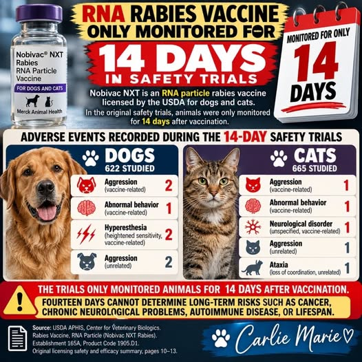 badpetmeds's tweet photo. I've said this before but I will say it again -- if you are being forced to give your pet a rabies vaccine, ask for the old one by Merial, thimerosal-free rabies vaccine called IMRAB 3 TF.  Say NO to Nobivac NXT. https://t.co/FwqB9MnecZ