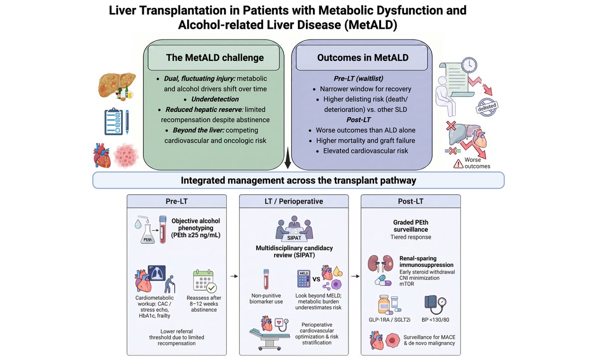 MetabolismAnd's tweet photo. How does MetALD affect liver transplantation outcomes?
This review highlights the higher risks of waitlist deterioration, mortality, and graft failure in MetALD, emphasizing the need for integrated metabolic and alcohol-related management.

https://t.co/DNpCGJno2i
#MetALD #Liver https://t.co/m8f4AxIvEK