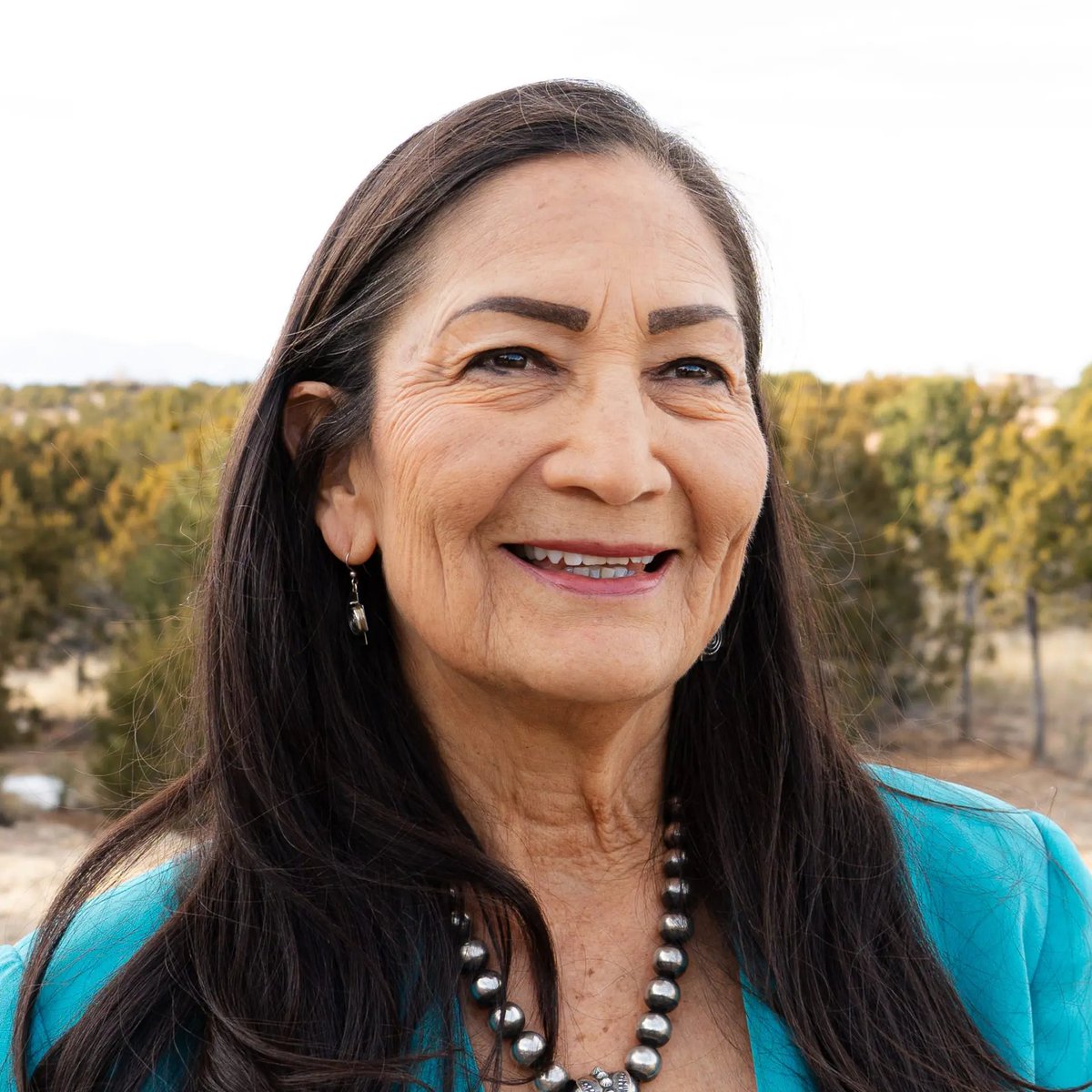 DemGovs's tweet photo. No state in America has ever elected a Native American woman as governor.

But with @DebHaalandNM, we have the chance to make history. Let’s get it done on Nov. 3! 🩵 https://t.co/qMVLLm6acc