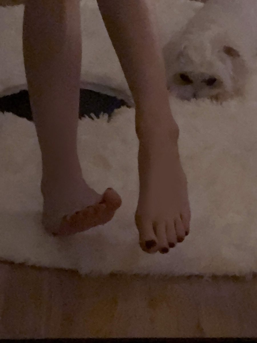 JuviraArachne's tweet photo. A gift for all the ladies who like feet, PLEASE PLEASE PLEASE I am desperate to be touched by a woman, i am even willing to wear a collar so PLEEEEAAASSSSEEE

(i was held at gunpoint to tweet this btw) https://t.co/85vJKgzajI