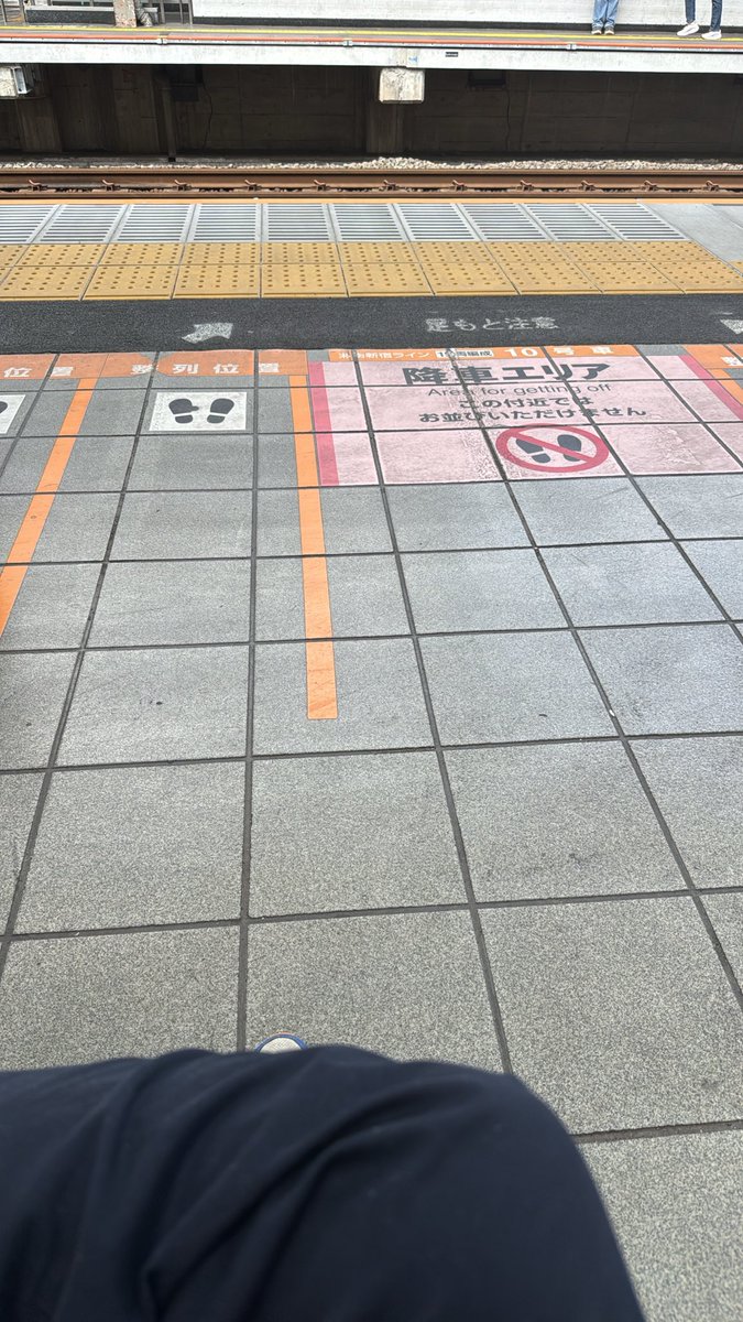 hiro2128's tweet photo. 池袋着

今日も義弟様にお世話になってなんとか時間どおりに到着できました( ^ω^ )

昨年もだったけど、今年も相変わらず会場入り前の昼食に迷い中(^◇^;)

さすがにそばじゃもたないいまいさん。

あと15分探索してダメならマックですw https://t.co/ez3WkB214K