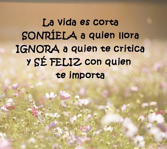 FelipeLoSeMa's tweet photo. Buuuueeeenooooss diiiaaasss, vamos a por el martes con una gran sonrisa y motivación a topeee. Recuerda que hoy será un gran día para conseguir lo que te propongas 💪☕😊 #disfruta #atopeee #energíapositiva #motivacion #sefeliz #BuenosDiasATodos https://t.co/pMwTHeyUse
