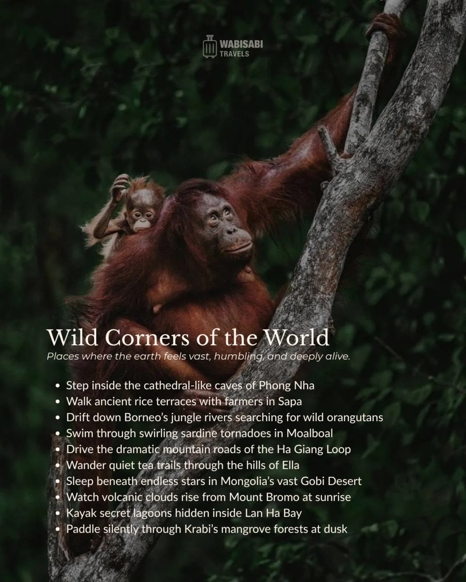 paz_poke's tweet photo. Asia is full of moments that go beyond sightseeing. Some iconic, some hidden, all unforgettable. We’ve gathered 50 experiences worth adding to your journey. Which one would you start https://t.co/nw35Zu60Xs