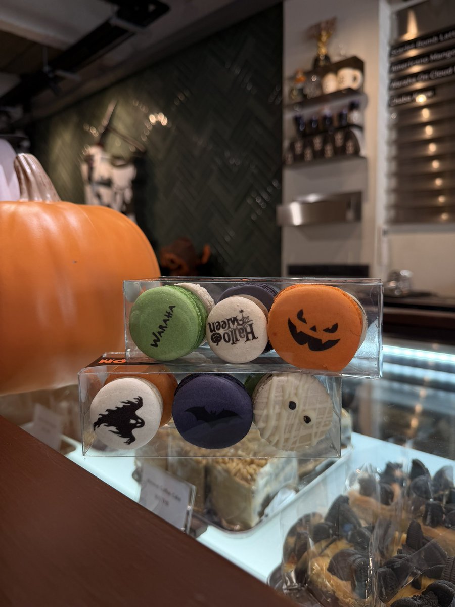 gubgib_kt's tweet photo. พี่ๆมารับน้อนกลับบ้านหน่อย~~ 👻🎃

#อิงฟ้ามหาชน
#WARAHACAFE https://t.co/1n8rJBTUpw