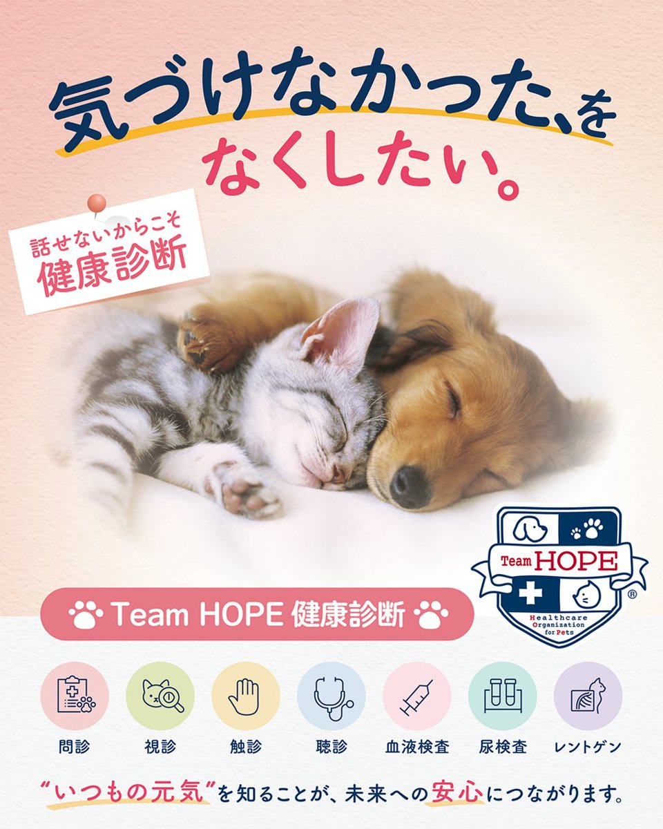 ZENOAQ_jp's tweet photo. \10月13日(じゅういさん)は #ペットの健康診断の日/
ずっと一緒に元気でいてほしいから🐶🐱
日頃の観察に加えて、獣医師による定期的なチェックを。
元気な今こそ、#健康診断を受けませんか🌱
👇詳しくはこちら
https://t.co/ap5oFHkKA8
#気づけなかったをなくしたい #TeamHOPE https://t.co/ma6blMVXE9