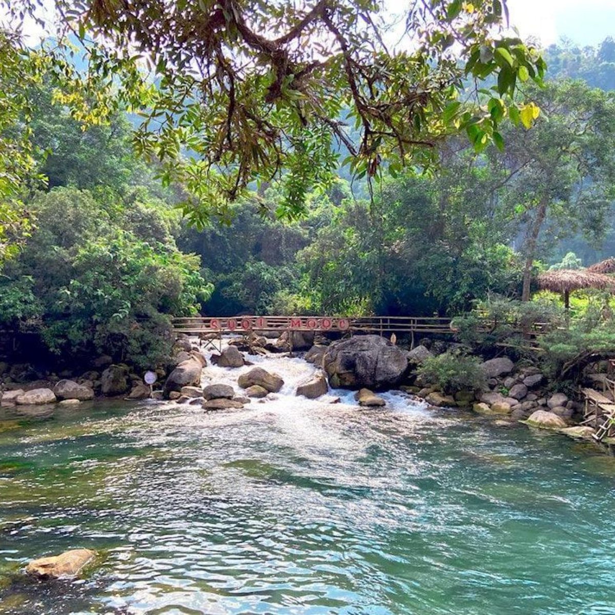 Nely_Lj's tweet photo. Ba Vi National Park, just outside Hanoi, offers lush forests, misty mountains, hidden trails, and panoramic highland views. Explore French-era ruins and enjoy a refreshing escape for nature lovers and hikers. https://t.co/CWYjh9E1QD