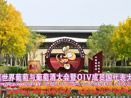 Sandyan47247653's tweet photo. 第 47 届世界葡萄与葡萄酒大会暨 OIV 成员国代表大会在宁夏银川启幕！这是大会百年历史首次落地亚洲 https://t.co/6EHIMj7TkW