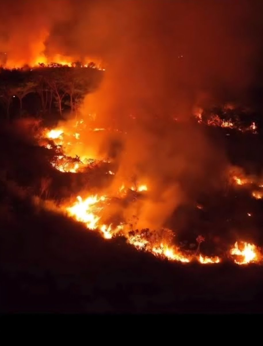 TumultoBR's tweet photo. Amazônia em chamas!!
540 focos de incêndio na Amazônia em 48 horas.
Lula, cadê você? https://t.co/0NZwCd2lKy