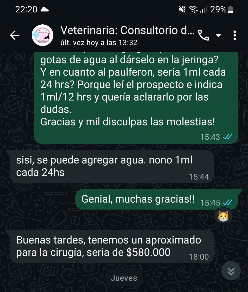 1n_solent's tweet photo. Hola, es la primera vez que hago esto y con toda la pena del mundo, realmente necesito ayuda. No puedo seguir viendo que mi gatito sufra y necesito operarlo lo antes posible.

Prometo subir comprobantes, actualizaciones constantes, pero necesito su ayuda

Mi alias es solb332 https://t.co/C7S7k1VlaB