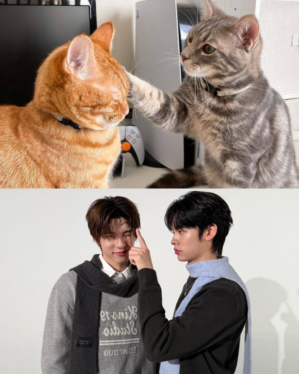 kins19studio's tweet photo. Selfie time, cutie time 🤍📸

#KINS19STUDIO #ShopeeKins19studioxTeeteePor
#OnlyatShopee #ShopeeTrendy #TEETEEPOR https://t.co/wfmdJzsXIY