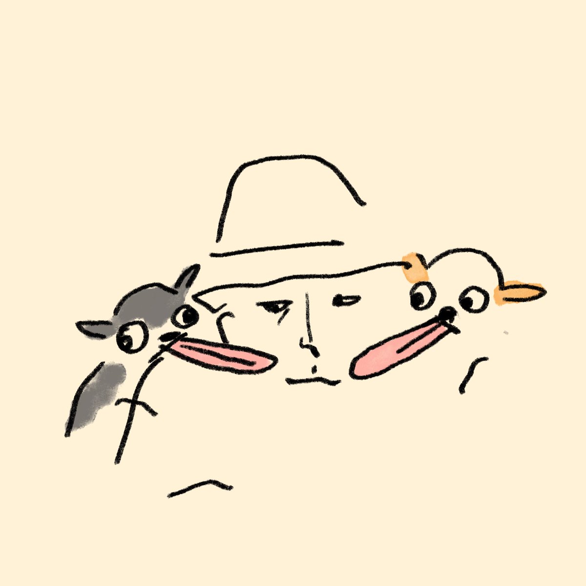 チワワ