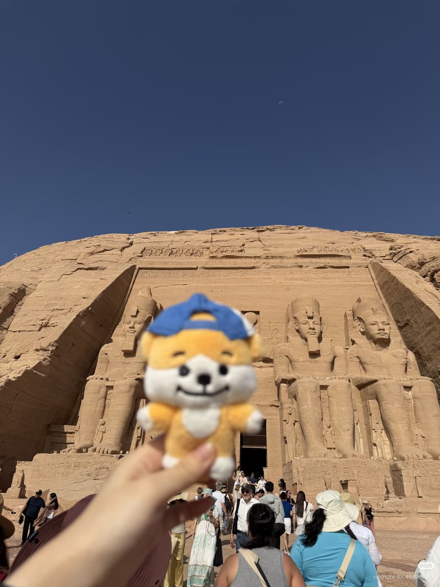 jakeyclub's tweet photo. jakey in egypt! he’s really exploring the world 😭 https://t.co/JPXI3fdCRM
