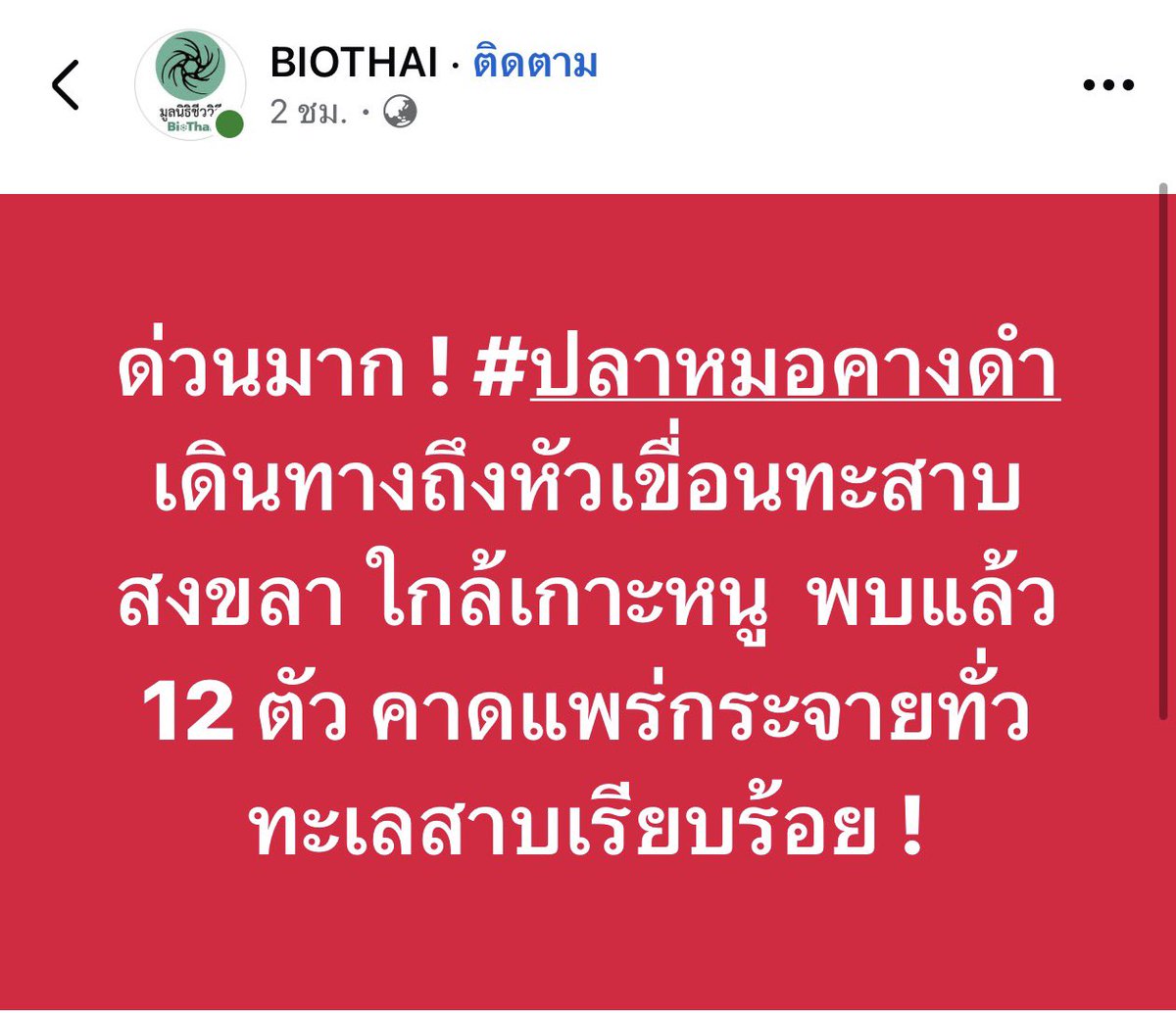 b_B1B2B3's tweet photo. ด่วนมาก ! #ปลาหมอคางดำ เดินทางถึงหัวเขื่อนทะสาบสงขลา ใกล้เกาะหนู  พบแล้ว 12 ตัว คาดแพร่กระจายทั่วทะเลสาบเรียบร้อย !

Cr. https://t.co/gkHWQm0E4X https://t.co/h8zZ8ikSpQ