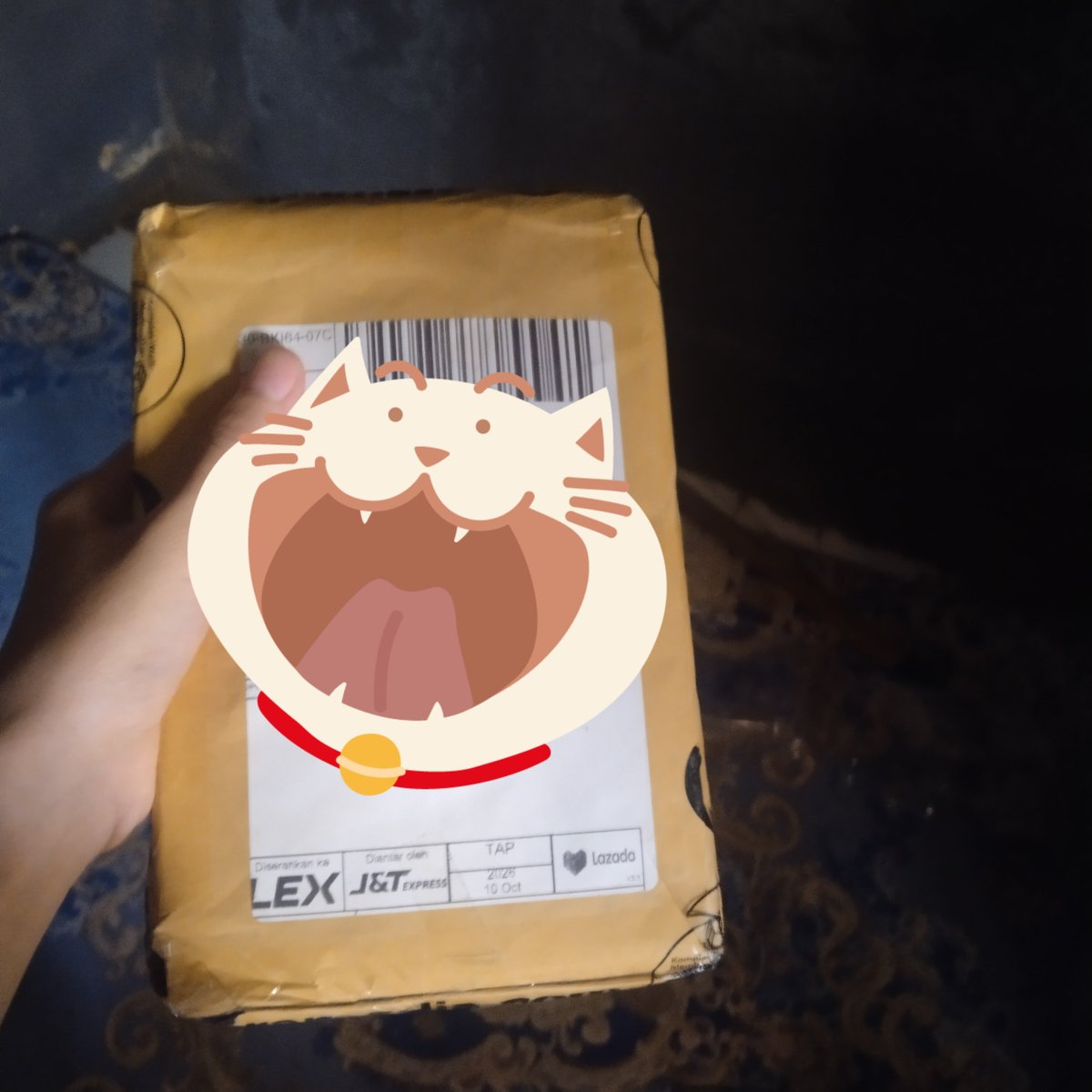 Ratatoille_Myus's tweet photo. Akhirnya sampai juga ni buku 🤣
Sisa satu paket lagi ☺️ https://t.co/BDN5ky9ci8