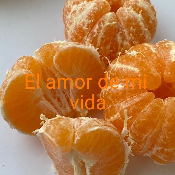 yoansioso's tweet photo. https://t.co/oOPWi6Ui9K