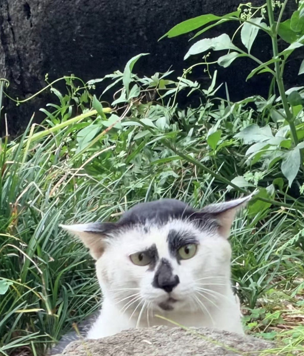 twaniimals's tweet photo. https://t.co/4XKJve201T
