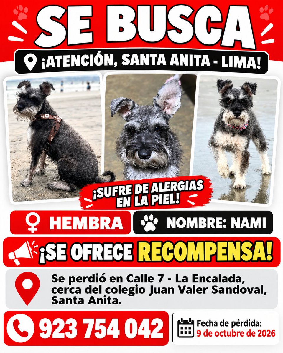 PawFindr's tweet photo. Se busca a Nami 🥺🙏 Amigos de Santa Anita, Lima Perú ATENTOS 🚨🔊 COMPARTAN #PawFindr #Mascotas #MascotasPerdidas #ayudaanimal https://t.co/EpPbBE9Uv7