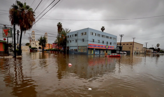 ahoranoticiamx's tweet photo. 🔴#AHORA| 🚁 Rescatan a 32 personas atrapadas por lluvias de Rachel
|#AhoraNoticias |#Noticias |#Nacional #BajaCalifornia #Ensenada #TormentaRachel #Rescate #ProteccionCivil #DefensaNacional #Lluvias
Nota aquí: ⬇️
https://t.co/3RA7gp3Ka6 https://t.co/wSR5ti9IZs