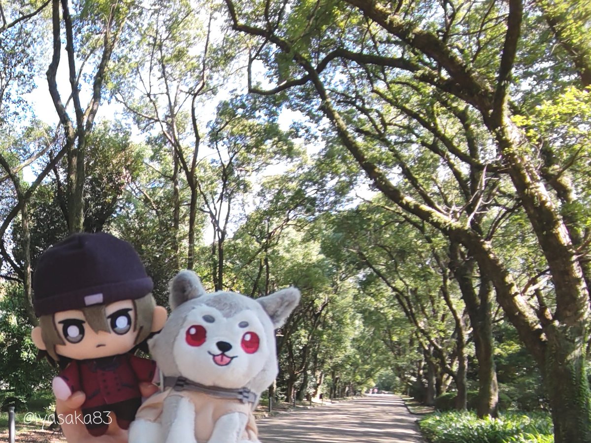 iyasaka83's tweet photo. 静かやったし、木漏れ日も涼しくて気持ちよかったし、絶好の散歩日和やったね〜。連休明けもあってお休みだったり、待ち時間の長くなりそうな飲食店は避けて、昼食は安定のモスで。期間限定のチーズメンチカツのバーガー、美味しかった！午後からの検査もがんがる！ #ペルソナ3R #P3R https://t.co/AcziHKdFNG