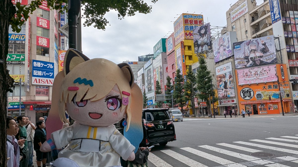 Fresh_Hassy's tweet photo. きょうも秋葉原✨️ https://t.co/5jAKGe21rs