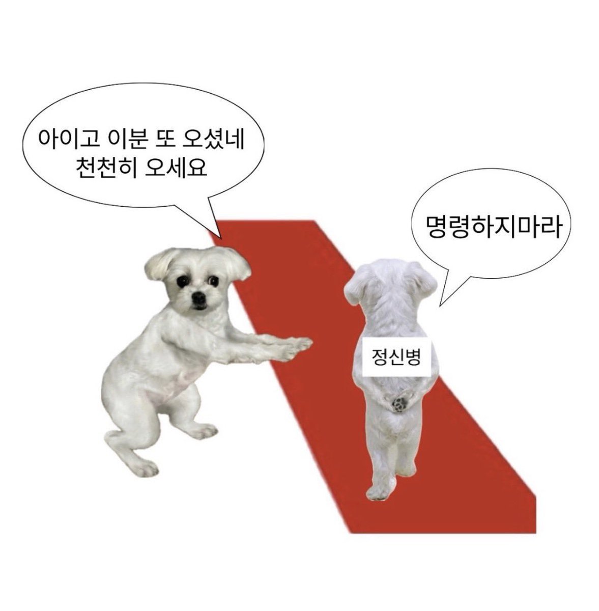 jip211029's tweet photo. 서지혁은 좋아서 이거저거 사다바치는데 그 행위가 모두 권도윤한테는 짜증나는 짓이란게 https://t.co/bNio5EaiFd