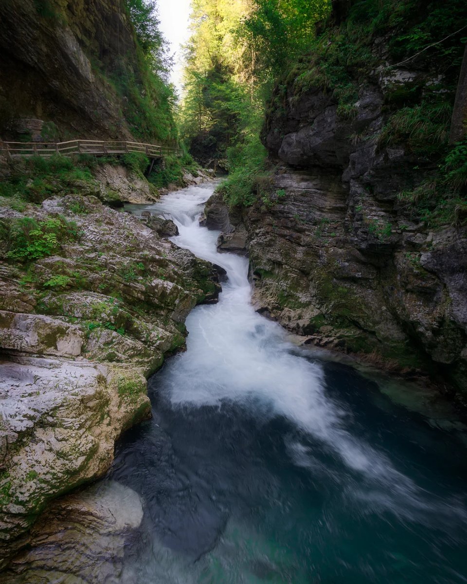 gabryelsantoos's tweet photo. Vintgar Gorge: a breathtaking escape where emerald waters carve through dramatic alpine cliffs. https://t.co/bZZE48EZUF