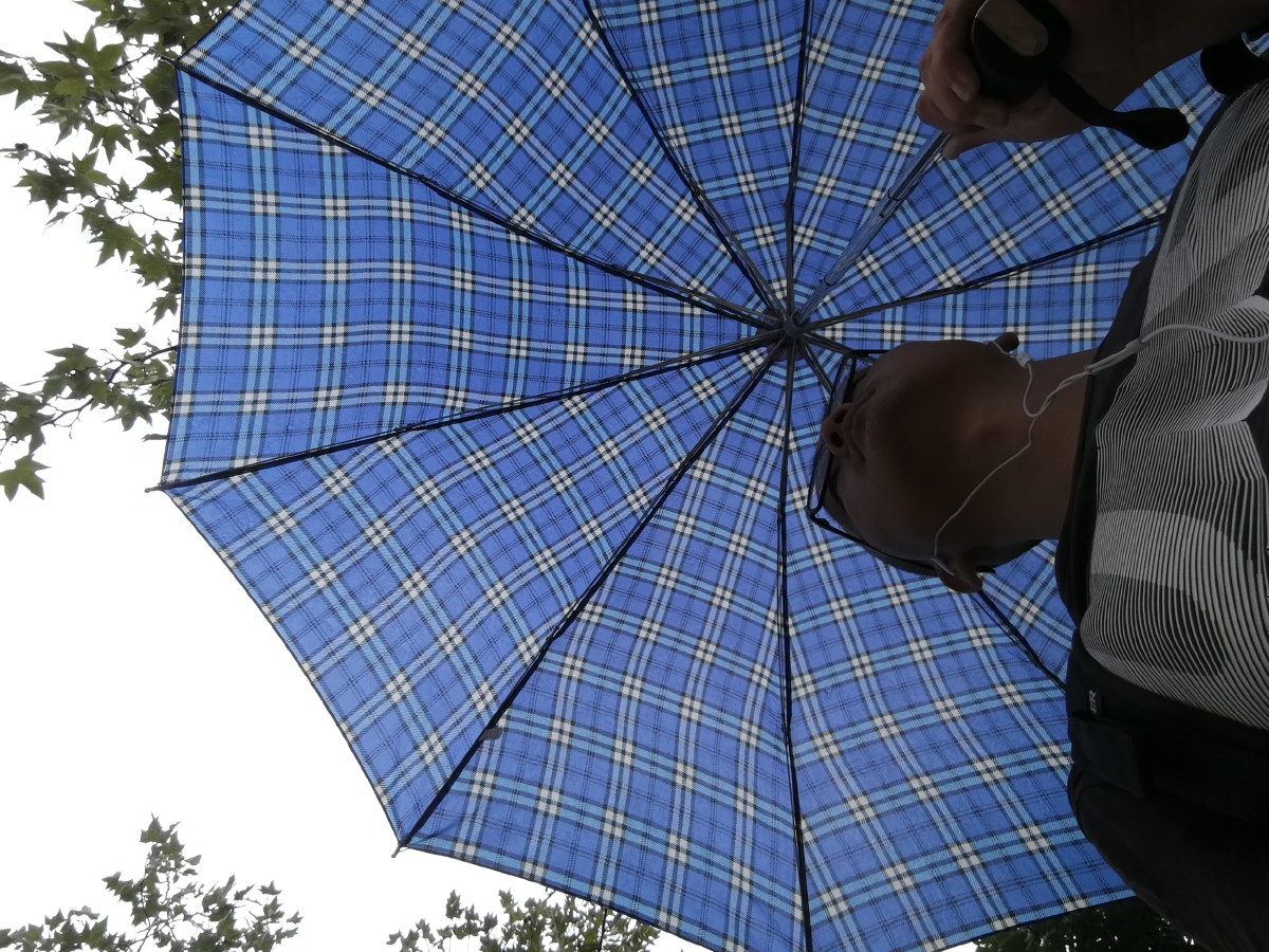 Strap4_1ptq's tweet photo. [雨に濡れたブルーの傘が道路にポツリとあって、そばにいた猫が私を見つめている]， https://t.co/7OJaryid22