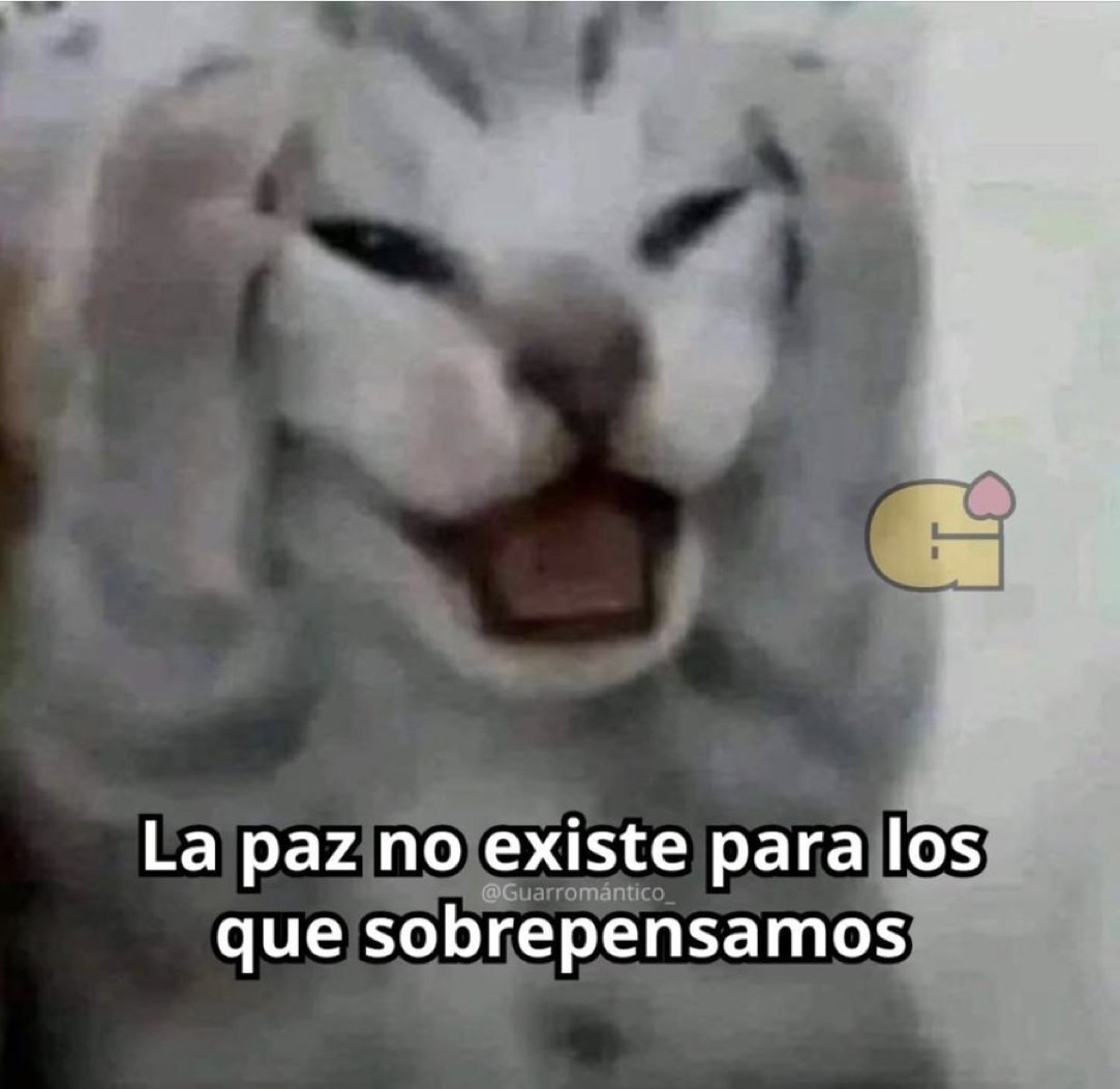 Guarromantico_'s tweet photo. Asies. https://t.co/KqRp9q518S