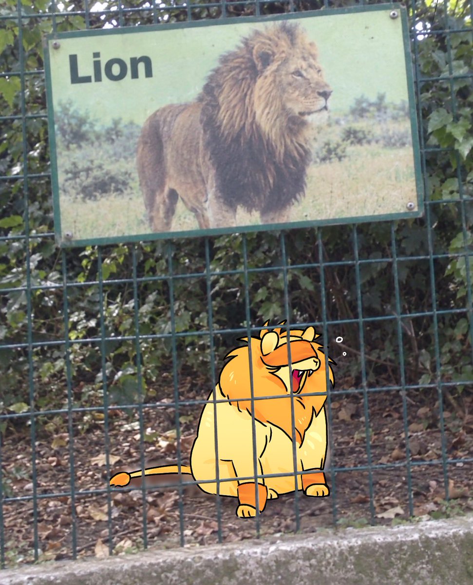 Riverrr_q's tweet photo. Lil lion #manepear https://t.co/BAqhld5Ahv