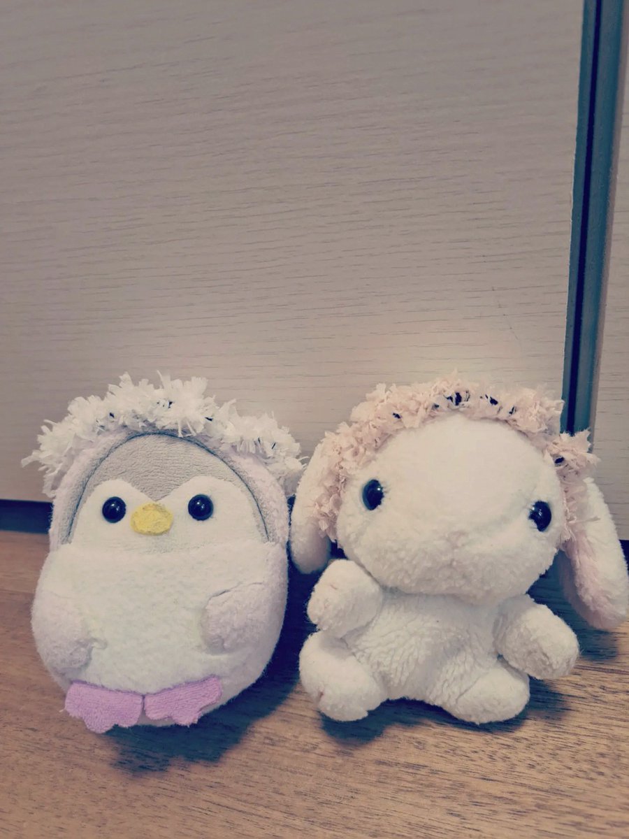 hbbn0's tweet photo. 昨日の推しの結婚式での幸せな気持ちと自分のやらかしの記憶で情緒がしっちゃかめっちゃか〜〜〜〜 https://t.co/oLT4BeiEtp