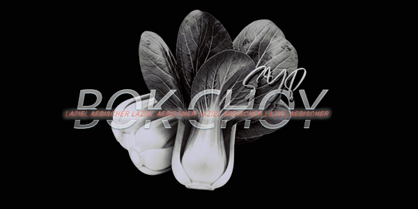 velourage's tweet photo. ᅠ
ᅠᅠ˖ ࣪ ‹  SELL YOUR PRODUCE. ⁺˖ ⸝⸝
ᅠ܄ OCT, '26. / Autumn. / Bok Choy. ᰋ
ᅠ https://t.co/ck76eGZVEe