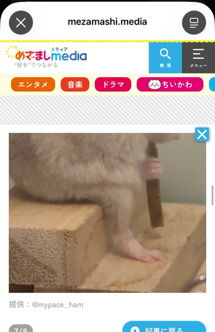 SmolTrenchor's tweet photo. JAPAN JUST GAVE US THE MOST CURSED HAMSTER MEME 😭🐹

2.55M+ VIEWS AND EVEN JAPANESE MEDIA IS COVERING IT.

This hamster is going GIGA VIRAL for having actual HUMAN LEGS AND VISIBLE KNEES 💀

PEOPLE ARE LITERALLY ASKING IF THERE'S A HUMAN INSIDE THE HAMSTER.

And her real name is パコ美 (PAKOMI).

A HAMSTER WITH HUMAN LEGS AND A PERFECT MEME NAME.

$PAKOMI — SEND THE HUMAN-LEGGED HAMSTER. 🚀

🔗 Viral Reel: https://t.co/Fo5jjxm3PQ

🔗 Japanese Media: https://t.co/9XRYH0VlM9

🔗 https://t.co/pKpNflCaVm