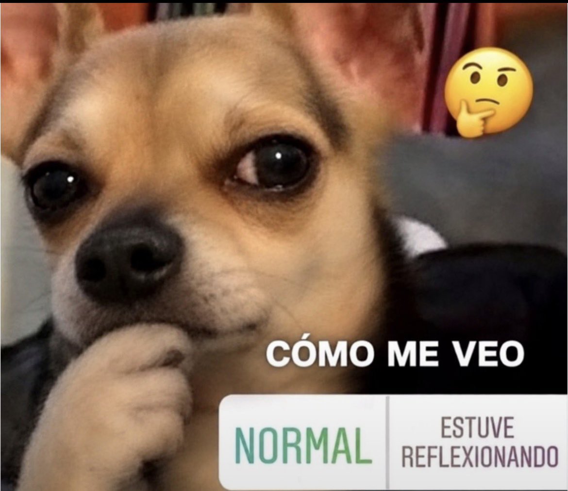 luuvaphrodite's tweet photo. pendeja de maltripea a las 2:30 am por overthinking https://t.co/YBg6etDgY4