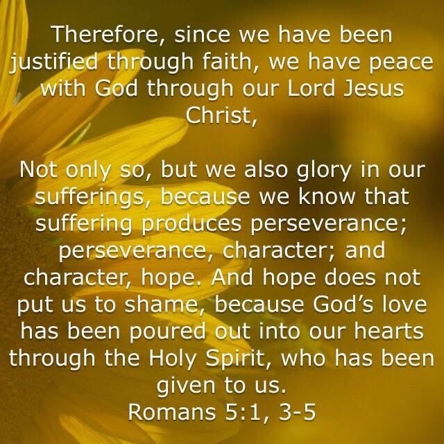 SarahMoore44358's tweet photo. 🤗🕊💖 https://t.co/2IfZLP9thS
