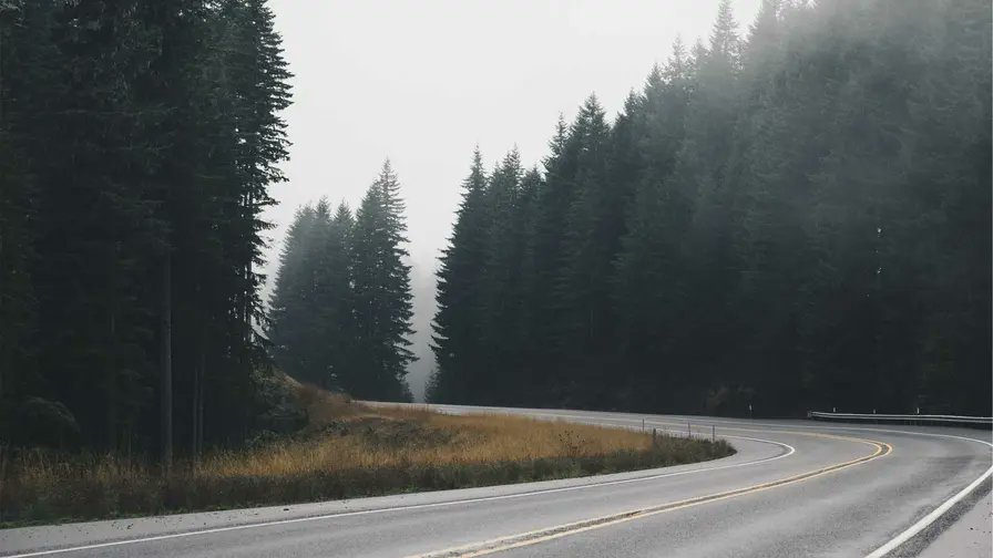 ggoo3352's tweet photo. Far and alone I wandered over the meadows.🥰 https://t.co/8NDpjXCHkE