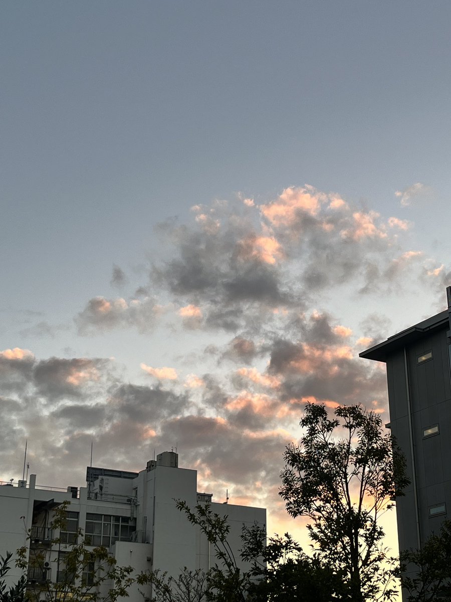ai_wellbeing253's tweet photo. 今日もぼちぼち生きました。 https://t.co/DycdlignmO